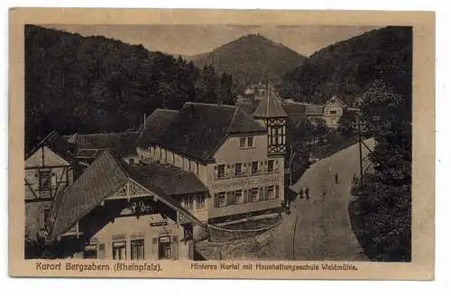 [Ansichtskarte] 6748 BAD BERGZABERN, Hinteres Kurtal mit Haushaltungsschule Waldmühle, 1918. 
