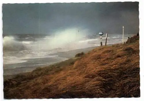 [Ansichtskarte] 2972 BORKUM, Sturmflut. 