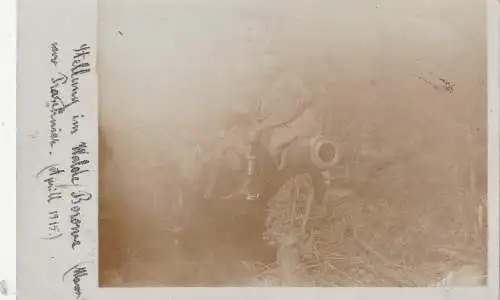[Ansichtskarte] PL 06-300 PRZASNYSZ / PRASCHNITZ, Artilleriestellung April 1915 Wald Borowe, Photo-AK. 