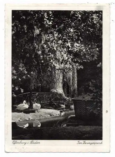 7600 OFFENBURG, Schwäne im Zwingerpark, 1940, Feldpost