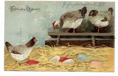 [Ansichtskarte] OSTERN / EASTER GREETING / PAQUES - Bunte Eier im Hühnerstall, Präge-Karte / embossed / relief, 1908. 