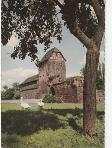 [Ansichtskarte] 6368 BAD VILBEL, Burgruine, 1961. 