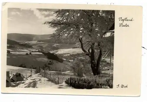0-9650 KLINGENTHAL - ASCHBERG, Blick vom Aschberg, 1955