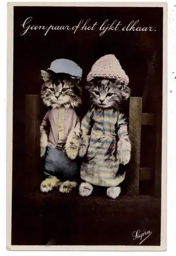 [Ansichtskarte] KATZEN / CATS / CHATS - Kein Paar wie jedes andere, 1936. 