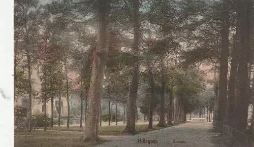 [Ansichtskarte] ZUID - HOLLAND - HILLEGOM, Sixlaan, Edit. Haas & Co. 