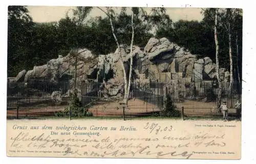 1000 BERLIN - TIERGARTEN, Zoo, Der neue Gemsenberg, 1903
