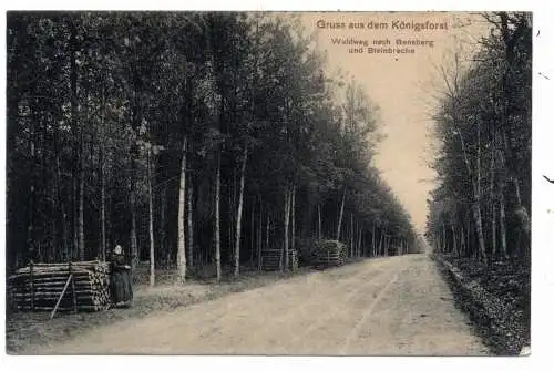 [Ansichtskarte] 5000 KÖLN - KÖNIGSFORST, Weg nach Bensberg und Steinbreche. 