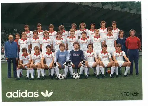 [Ansichtskarte] FUSSBALL - 1.FC KÖLN - MANNSCHAFT 1980. 