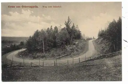 4514 OSTERCAPPELN, Weg zum Bahnhof, Verlag Niemeyer