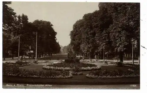 [Ansichtskarte] 5300 BONN, Poppelsdorfer Allee, Verlag Rubin - Dresden. 