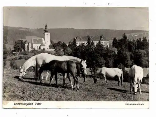 PFERDE, Lipizzanergestüt Piber