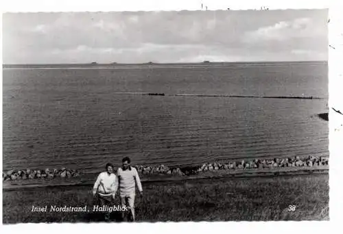 [Ansichtskarte] 2251 INSEL NORDSTRAND, Halligblick. 