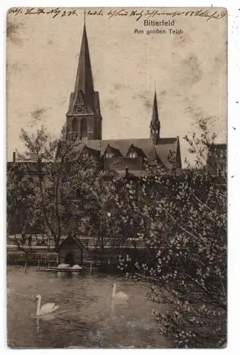 0-4400 BITTERFELD, Am großen Teich, 1917