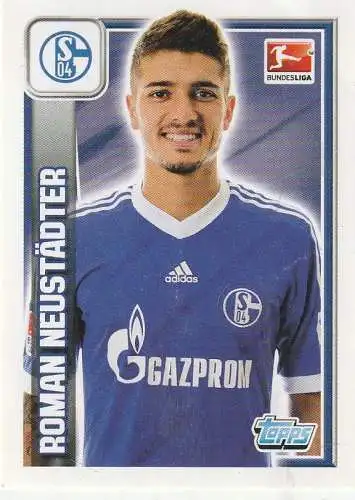 FUSSBALL - SCHALKE 04, ROMAN NEUSTÄDTER, 2013/14
