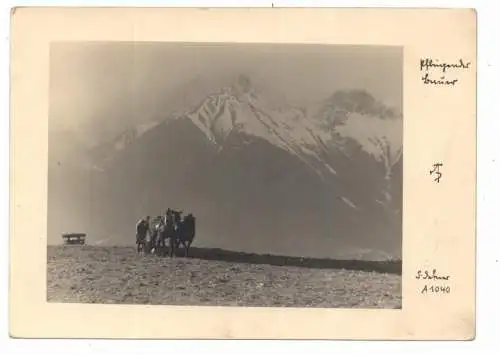 [Ansichtskarte] LANDWIRTSCHAFT - Pflügender Bauer, Verlag Defner - Inssbruck. 