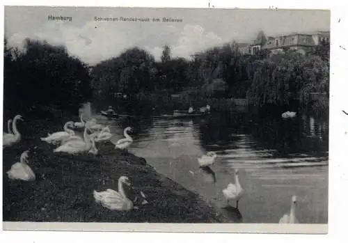 [Ansichtskarte] 2000 HAMBURG - WINTERHUDE, Schwanen-Rendez-vous am Bellevue. 