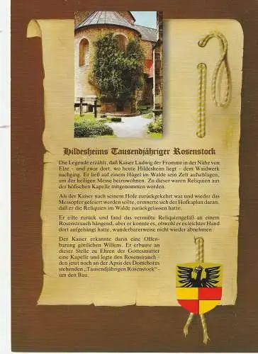 [Ansichtskarte] 3200 HILDESHEIM, Rosenstock, Chronik - AK. 