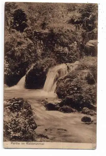 [Ansichtskarte] CH 4204 HIMMELRIED SO, Kaltbrunnetal, 1918. 