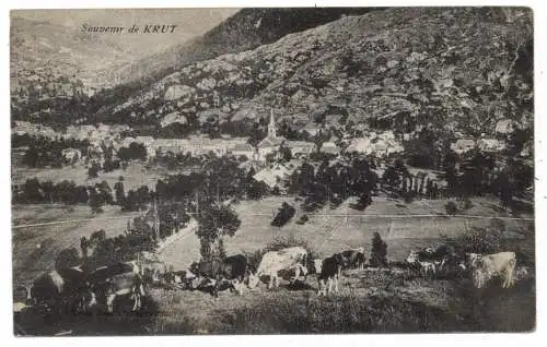 [Ansichtskarte] F 68820 KRÜT / KRUTH, Blick über den Ort, Kuhherde. 