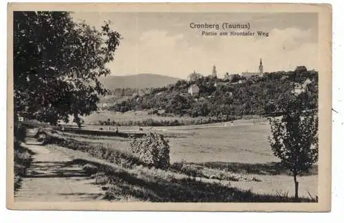 [Ansichtskarte] 6242 KRONBERG, Partie am Krontaler Weg, Verlag Weidmann. 