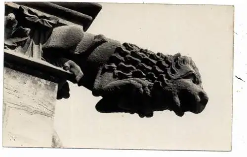 [Ansichtskarte] 7800 FREIBURG, Wasserspeier am Münster, Verlag Röcke. 