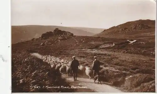 UK - ENGLAND - DEVON - DARTMOOR, Moorland Road, Sheep, Schafherde, Sweetman Publ.