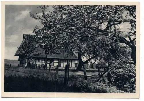 4535 WESTERKAPPELN - HAMBÜREN, "Dat Posthus", Verlag Kreis Tecklenburg 30er Jahre