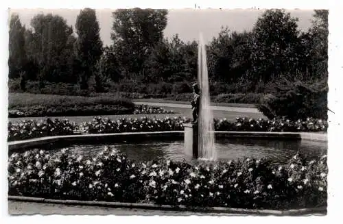 [Ansichtskarte] 4050 MÖNCHENGLADBACH, Bunter Garten, Springbrunnen, 1955. 