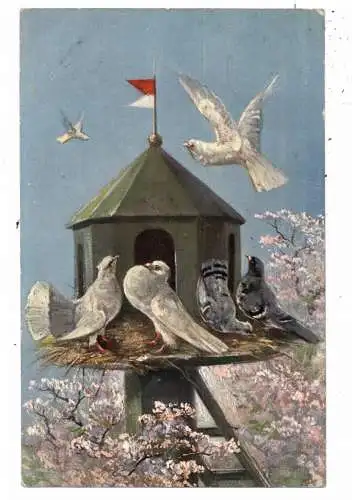 VÖGEL - TAUBEN / PIGEONS, Taubenschlag, Künstler-Karte 1908
