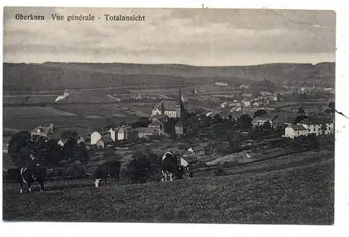 L 4500 DIFFERDINGEN - OBERKORN, Gesamtansicht, Eckdruckstelle