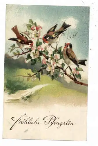 PFINGSTEN / PENTECOST / PENTECOTE - Spatzen auf einem blühenden Baum, 1928