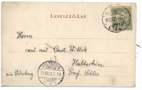 [Ansichtskarte] H 1000 BUDAPEST, Ofener Panorama, 1903. 