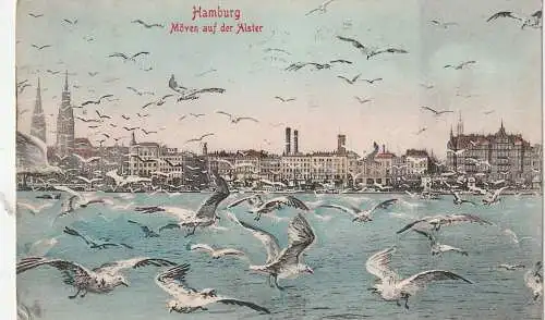 [Ansichtskarte] 2000 HAMBURG, Möven auf der Alster, 1907. 