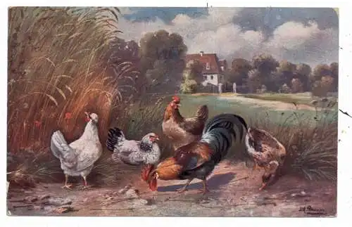 LANDWIRTSCHAFT - GEFLÜGEL / POULTRY, Hühner, Ente, Künstler-Karte Alfred Schönian