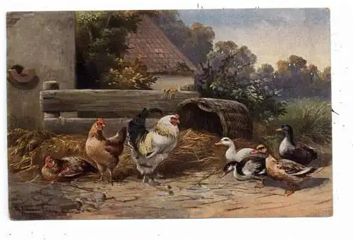 LANDWIRTSCHAFT - GEFLÜGEL / POULTRY, Hühner, Enten, Künstler-Karte Alfred Schönian