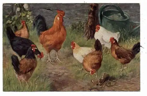 LANDWIRTSCHAFT - GEFLÜGEL / POULTRY, Hühnerhof, Künstler-Karte, 1928