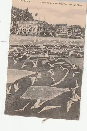 [Ansichtskarte] 2000 HAMBURG, Möven auf der Alster, Alsterpavillon, ca. 1905. 