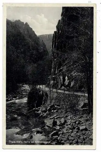 0-4308 THALE, Partie am Kronensumpf, 1938