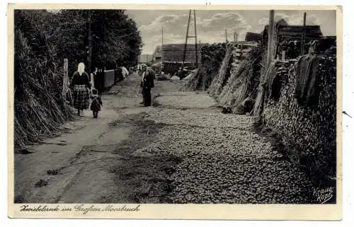 [Ansichtskarte] OSTPREUSSEN - GROSSER MOOSBRUCH, Zwiebelernte, 1935, Verlag Krauskopf. 