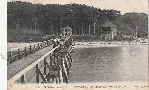0-2553 GRAAL - MÜRITZ, Eichenwald am Meer, Nonnen auf dem Seesteg, Verlag Reincke, 1913