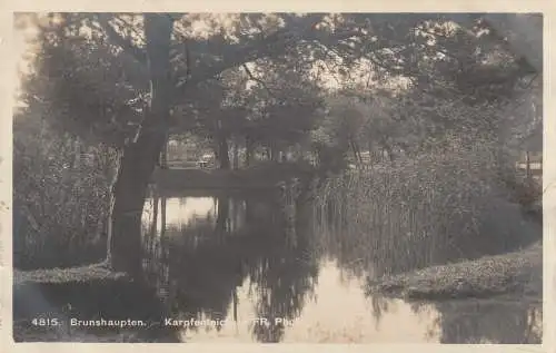 [Ansichtskarte] 0-2565 KÜHLUNGSBORN - BRUNSHAUPTEN, Karpfenteich, 1924, Verlag Reincke. 