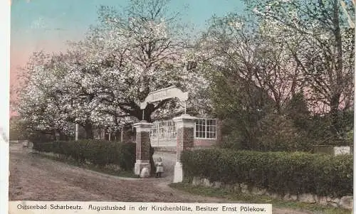 2409 SCHARBEUTZ, Hotel - Pension Augustusbad in der Kirschblüte, 1913