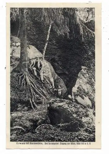 [Ansichtskarte] 8391 HAIDMÜHLE, Eingang zur Höhle. 