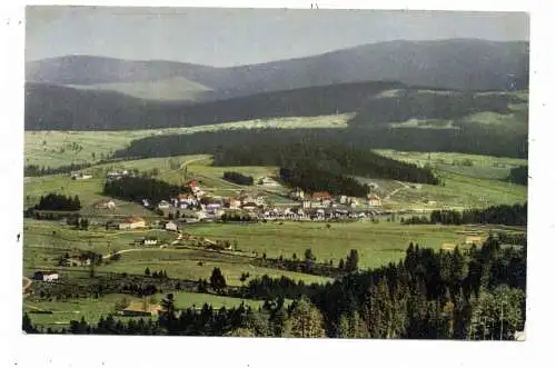 [Ansichtskarte] 8391 HAIDMÜHLE und umliegende Dörfer. 