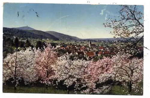 6104 SEEHEIM, Frühling an der Bergstrasse, 1930