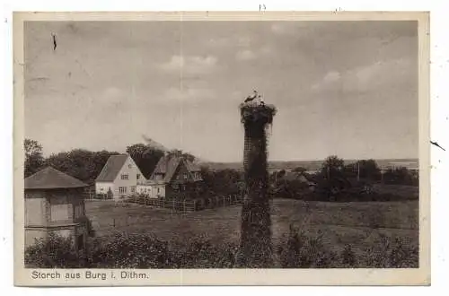 2224 BURG in Dithmarschen, Storchennest, 1935