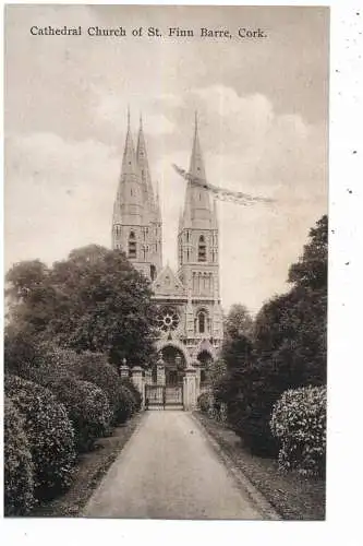 [Ansichtskarte] EIRE / IRLAND - CORK, Cathedral Church of St. Finn Barre. 