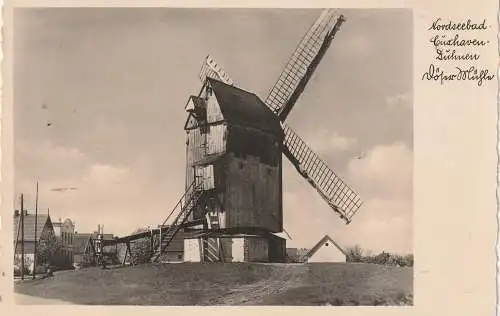 [Ansichtskarte] 2190 CUXHAVEN - DUHEN, Windmühle / Mill / Molen / Moulin - Dösen, Verlag Waldmann. 