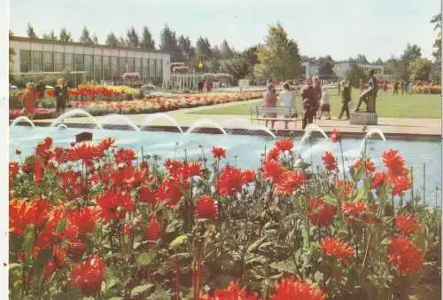 [Ansichtskarte] 0-5000 ERFURT, IGA Erfurt, Blumenwiese und Ausstellungshallen, 1972. 