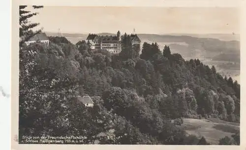 7799 HEILIGENBERG, Schloß Heiligenberg, Blick von der Freundschaftshöhle